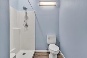 Blue house inside shower toilet